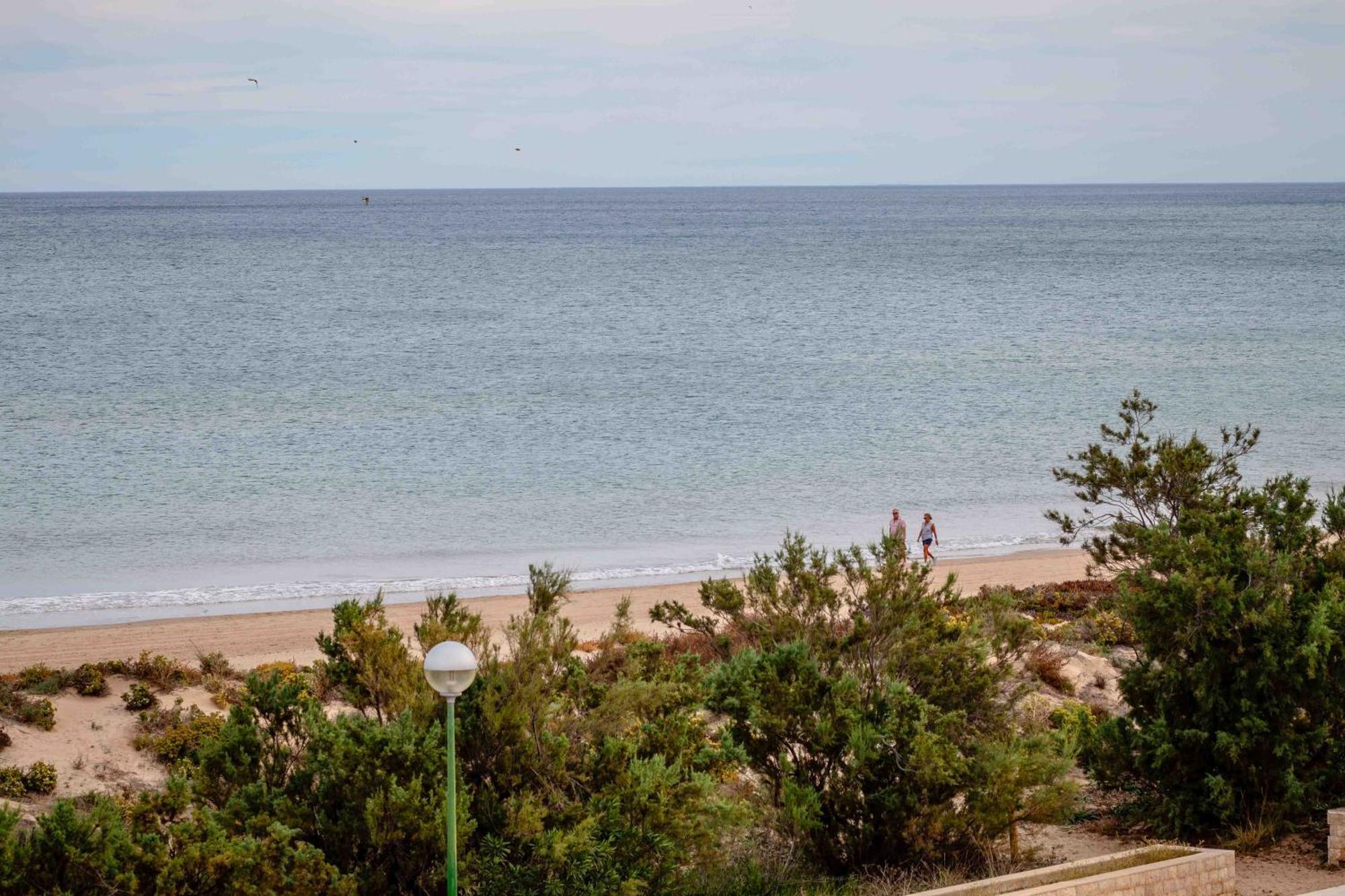Relax Total Junto Al Mar Apartamento Oliva Exterior foto